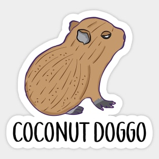 Coconut Doggo Capybara Cute Meme Kawaii Baby Capybara Sticker